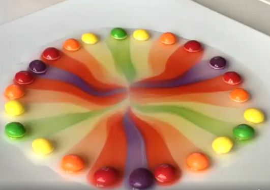 kids-skittles-science-experiment (1)