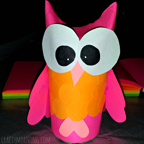 DIY Owl Toilet Paper Roll Craft For Kids
