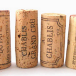 Wine Cork Crafts & Art Project for Kids
