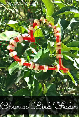 Heart Pipe Cleaner Bird Feeder Craft For Kids