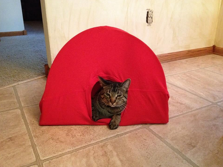 diy-cat-tent-