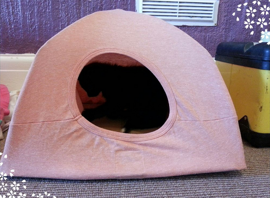 diy-cat-tent-idea-made-with-shirts