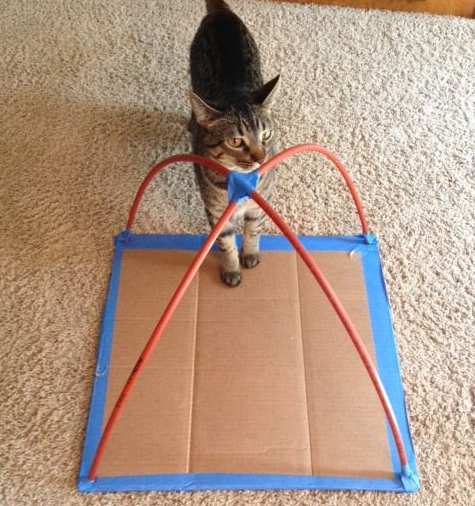 diy-cat-tent-idea