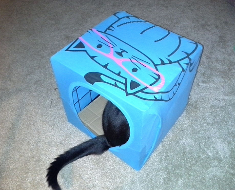 diy-cat-tent-shirt-idea