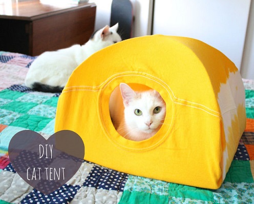 diy-cat-tent-t-shirt