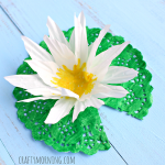 Make a Lily Pad Craft Using a Cupcake Liner & Doily