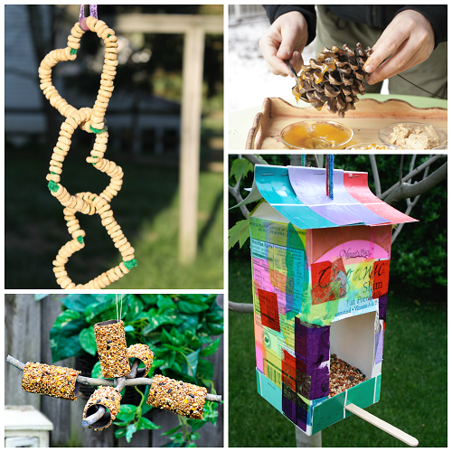 bird-feeders-for-kids-to-make-