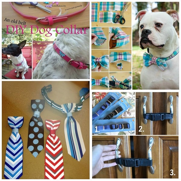 Clever Dog Collar Hacks