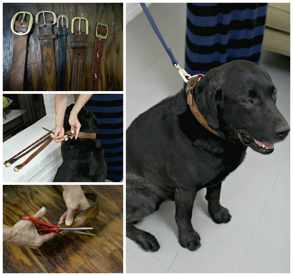 vintage-belt-dog-collar-diy