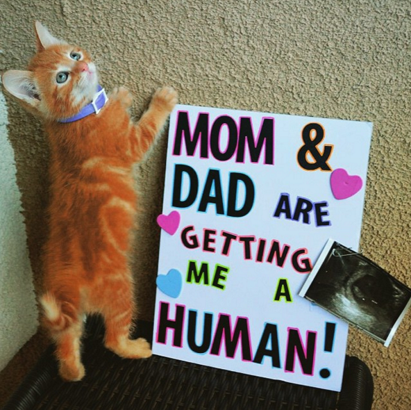family-handprints-canvas-kids-craft
