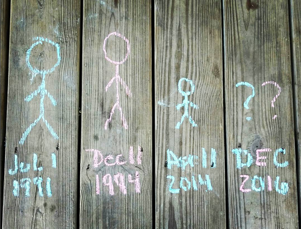 fence-chalkboard-pregnancy-announcement