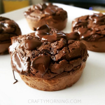 Double Chocolate Protein Muffins Recipe