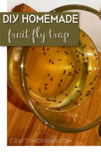 The Best Homemade Fruit Fly Trap - Crafty Morning