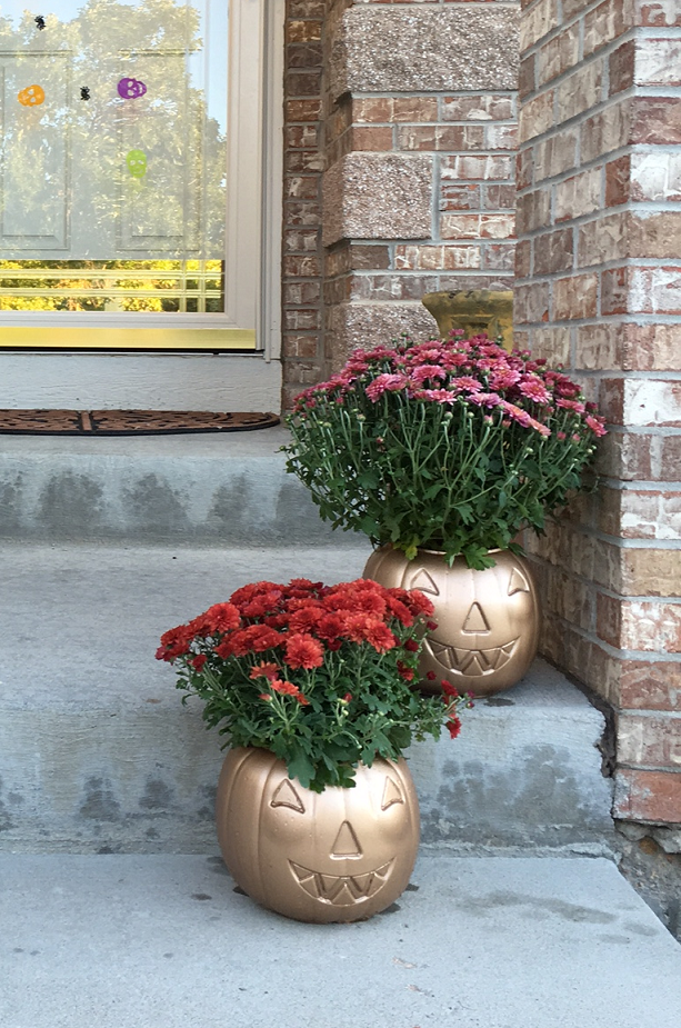 mum-flower-pumpkins