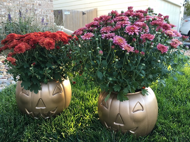 mum-pumpkin-decor