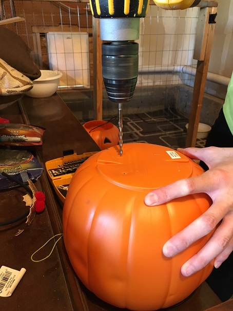 mum-pumpkins