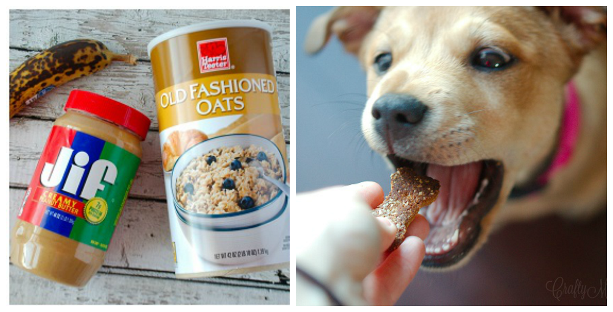 3 Ingredient Dog Treats