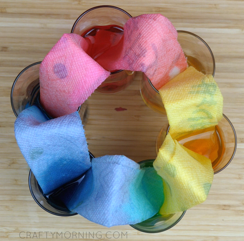 Walking Water Rainbow Science Experiment