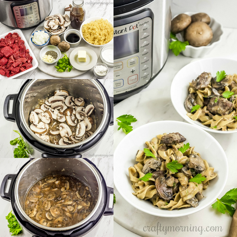 Instant Pot Beef Stroganoff Recipe