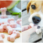 Watermelon Pupsicles - The best treat for hot days & digestion