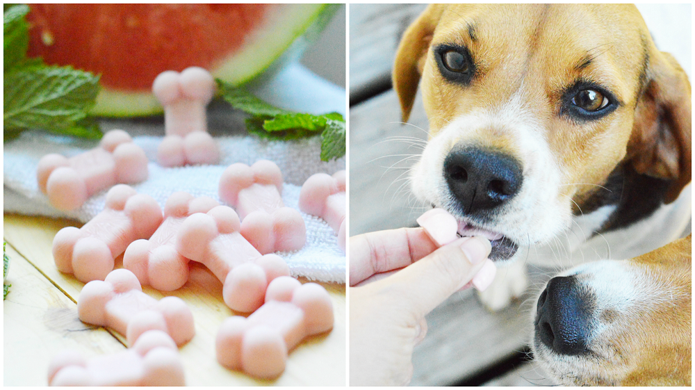 Watermelon Pupsicles – The best treat for hot days & digestion