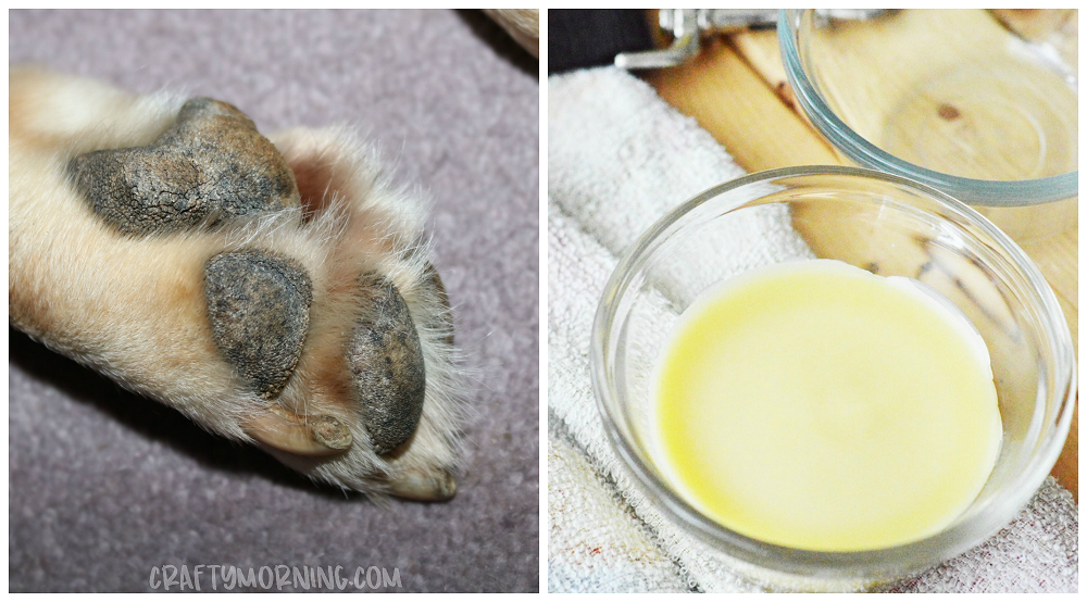 Easy 3-Ingredient All Natural Paw Balm