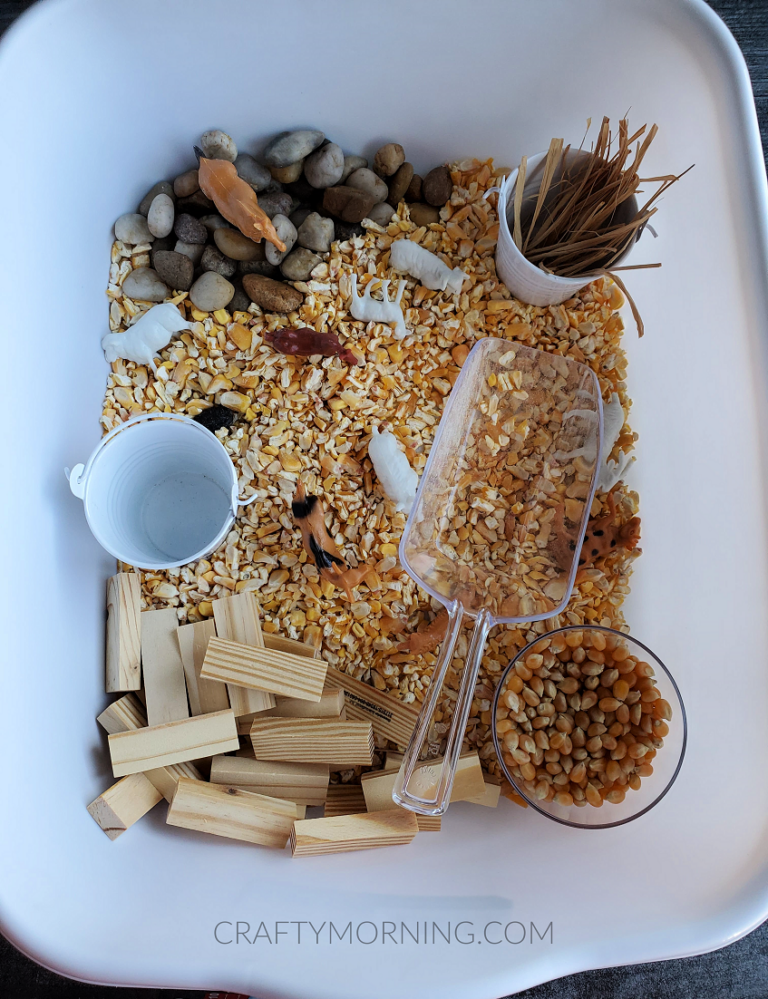 Dollar Tree Sensory Bin Ideas Crafty Morning