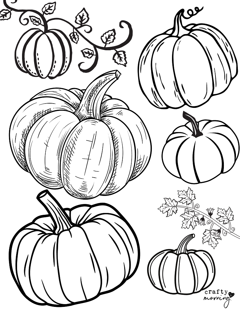 Pumpkin Coloring Page Free