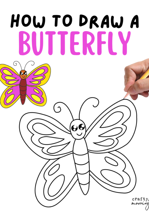 How to Draw a Butterfly (Easy Step by Step)