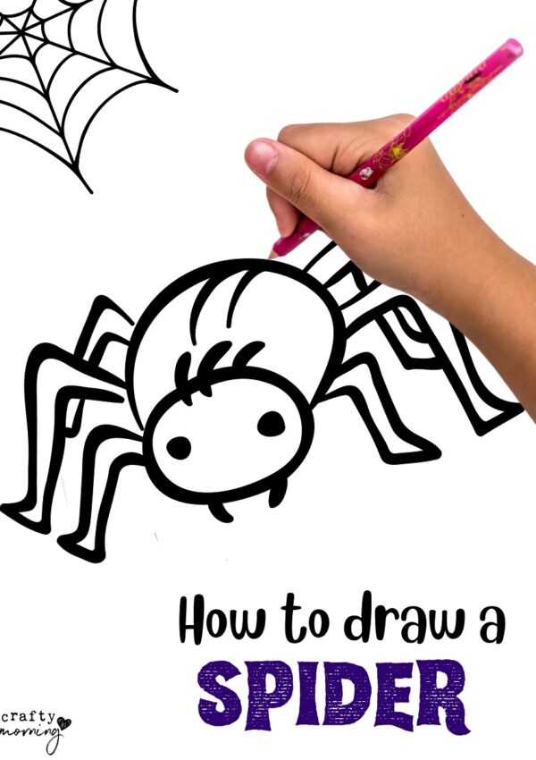 Easy Spider Drawing- Step by Step Printable
