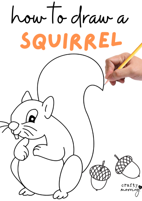 How to Draw a Squirrel (Easy Step by Step)