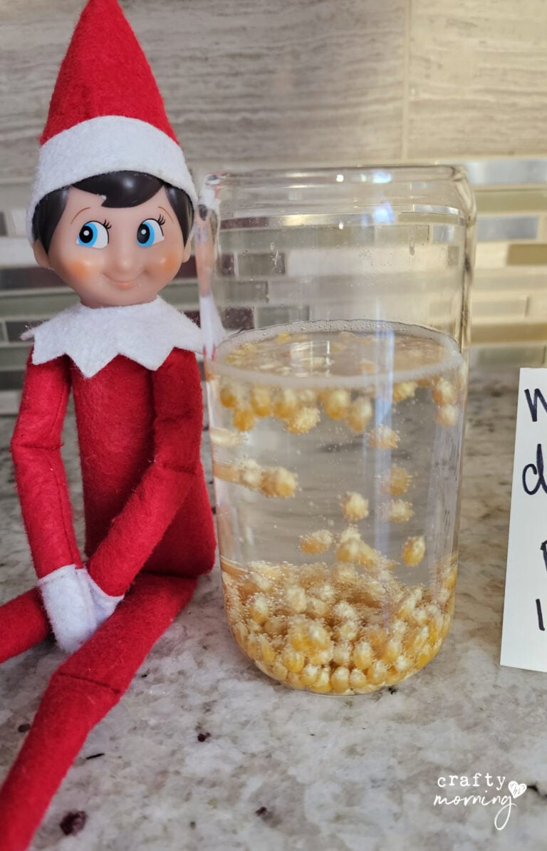 Dancing Popcorn Experiment