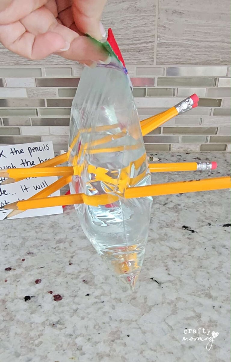 Pencil Water Bag Experiment